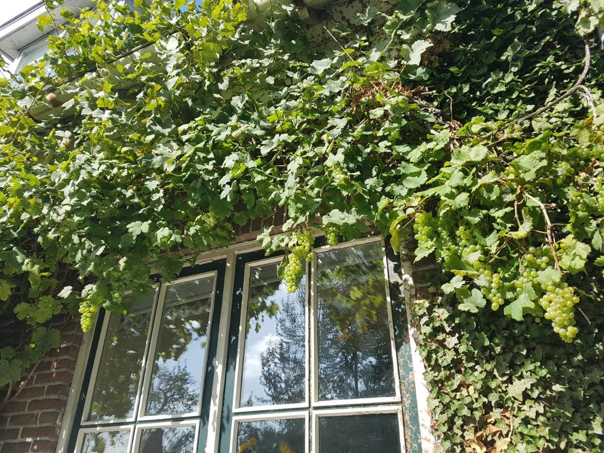 B&B de Panheide Hooghalen Exterior foto